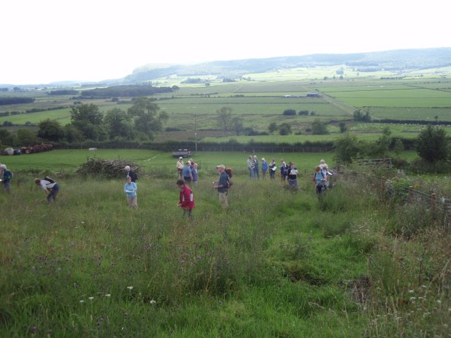People in a field catching bees for identification